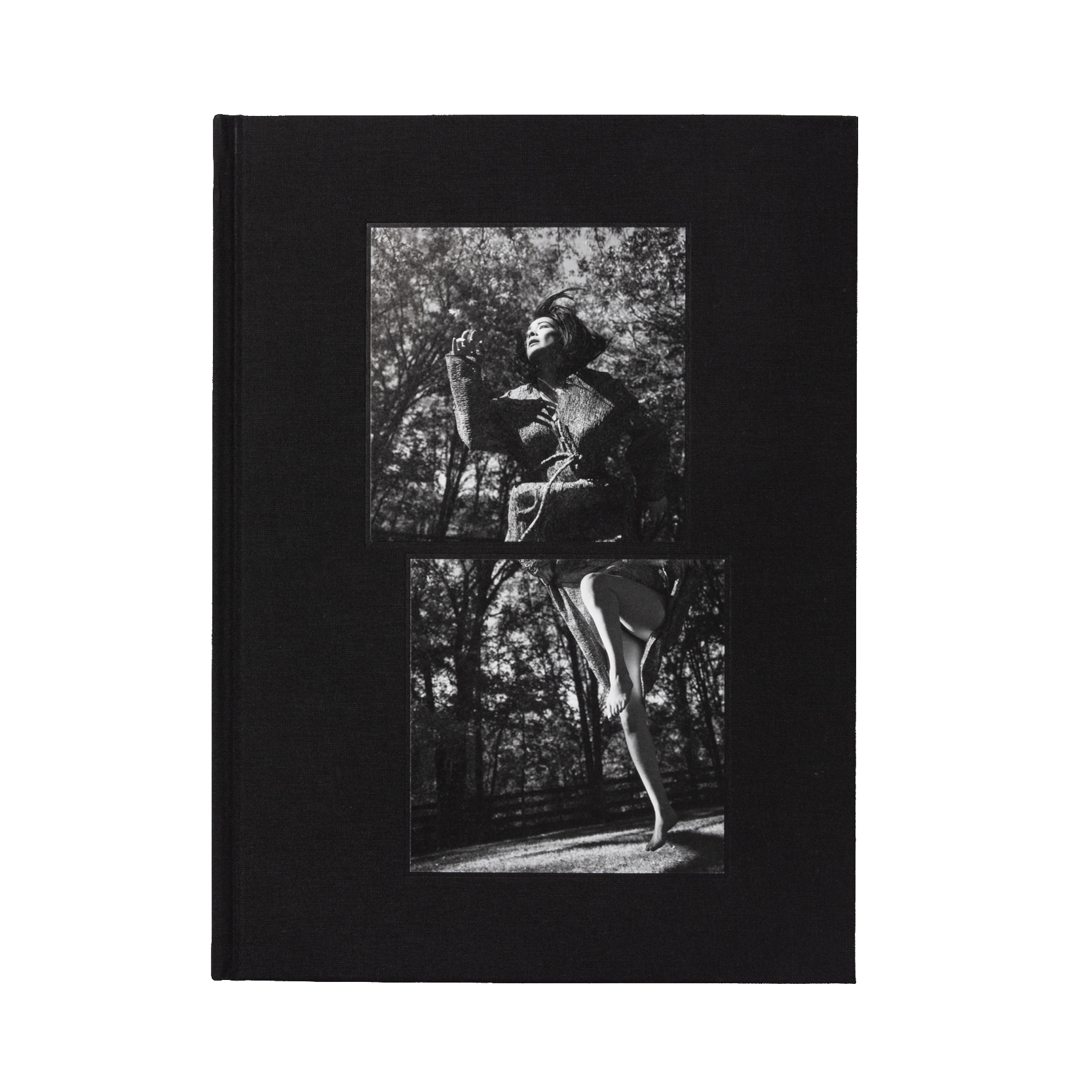 The King of All the Land Book