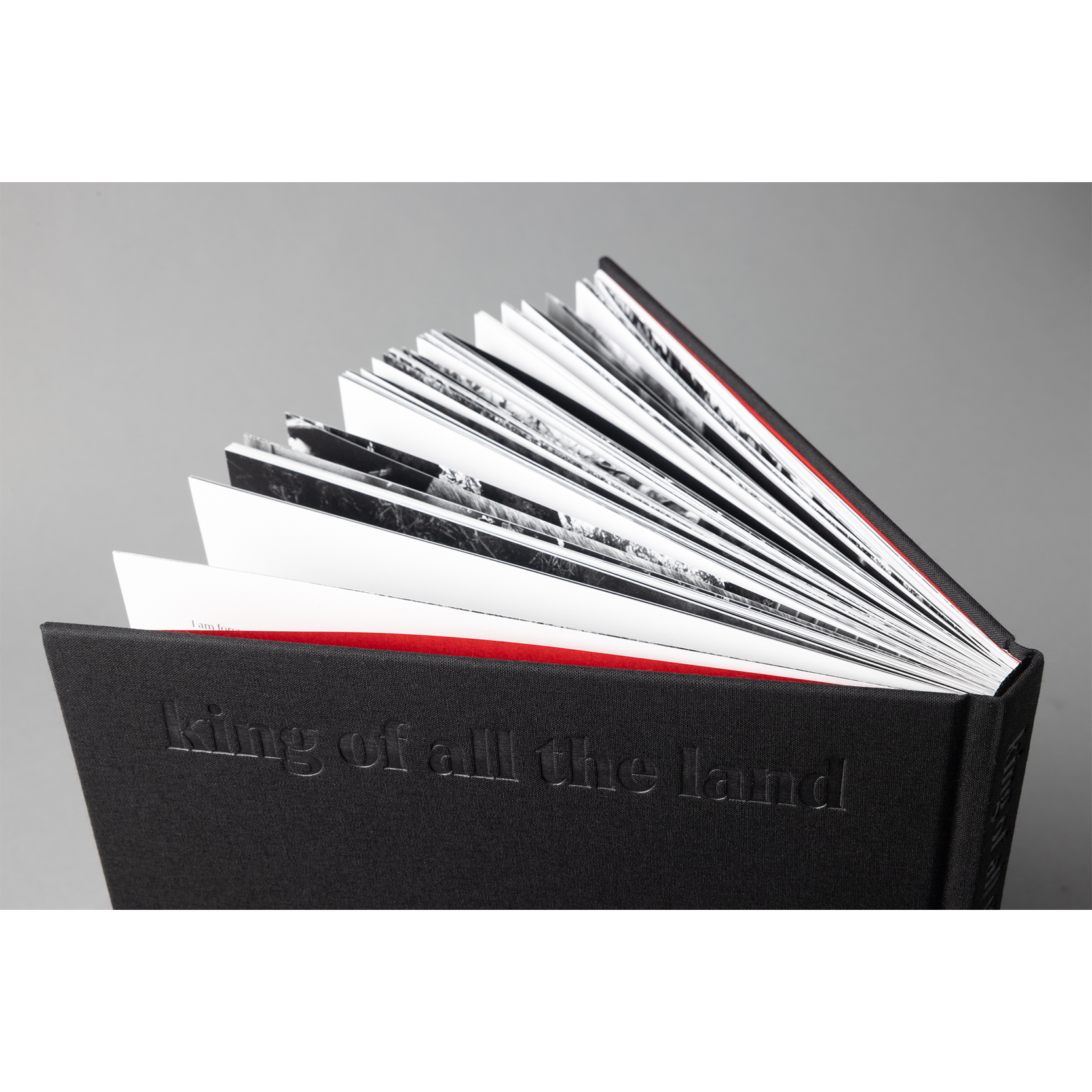 The King of All the Land Book