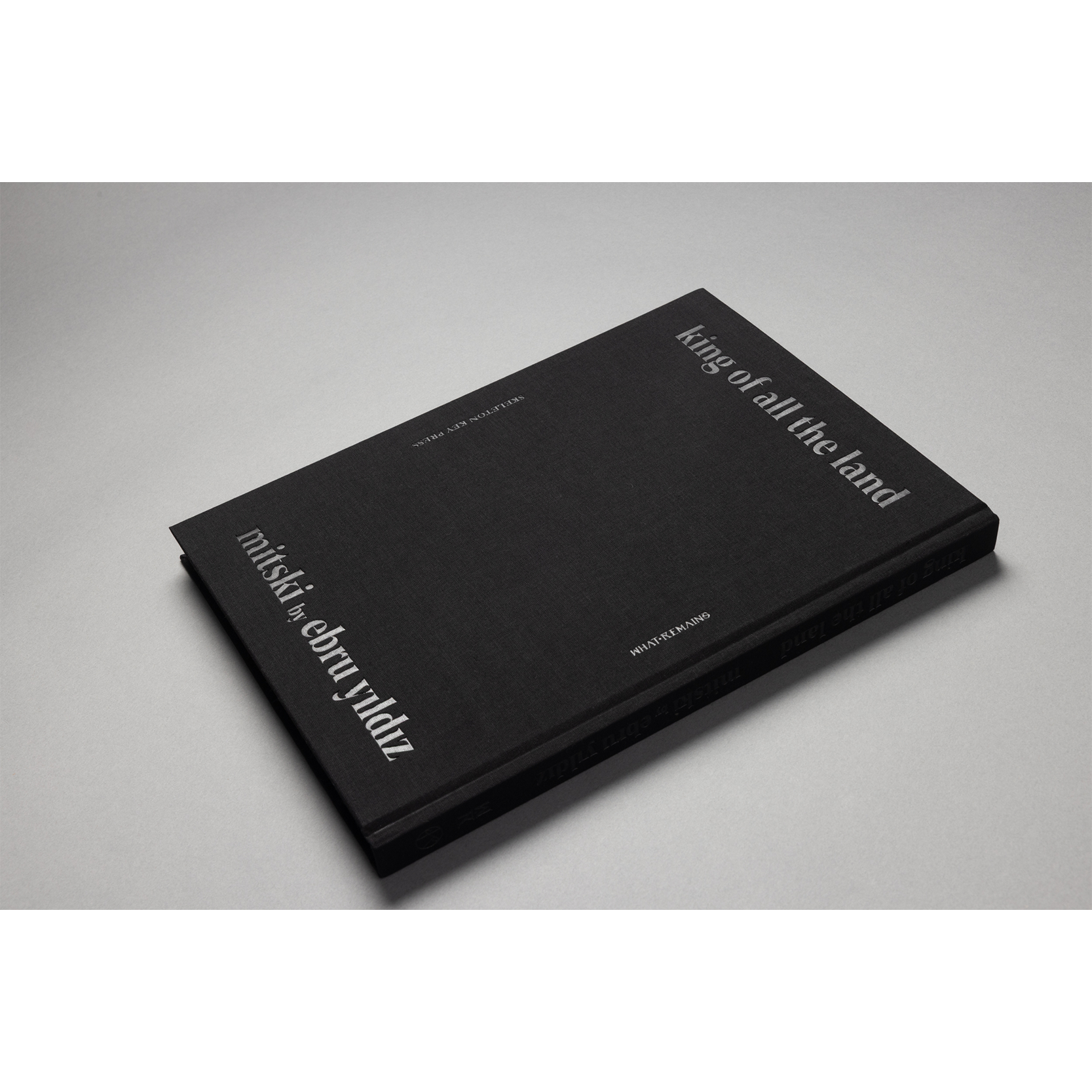 The King of All the Land Book