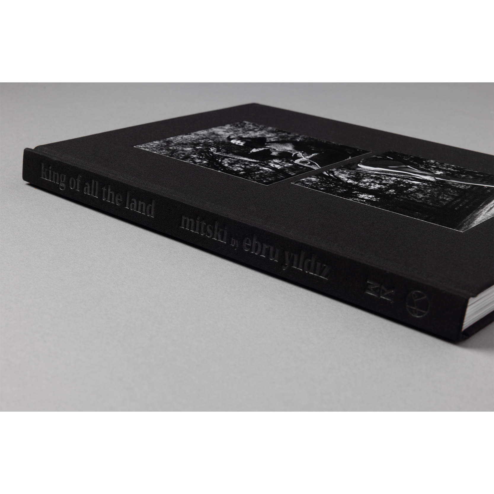 The King of All the Land Book