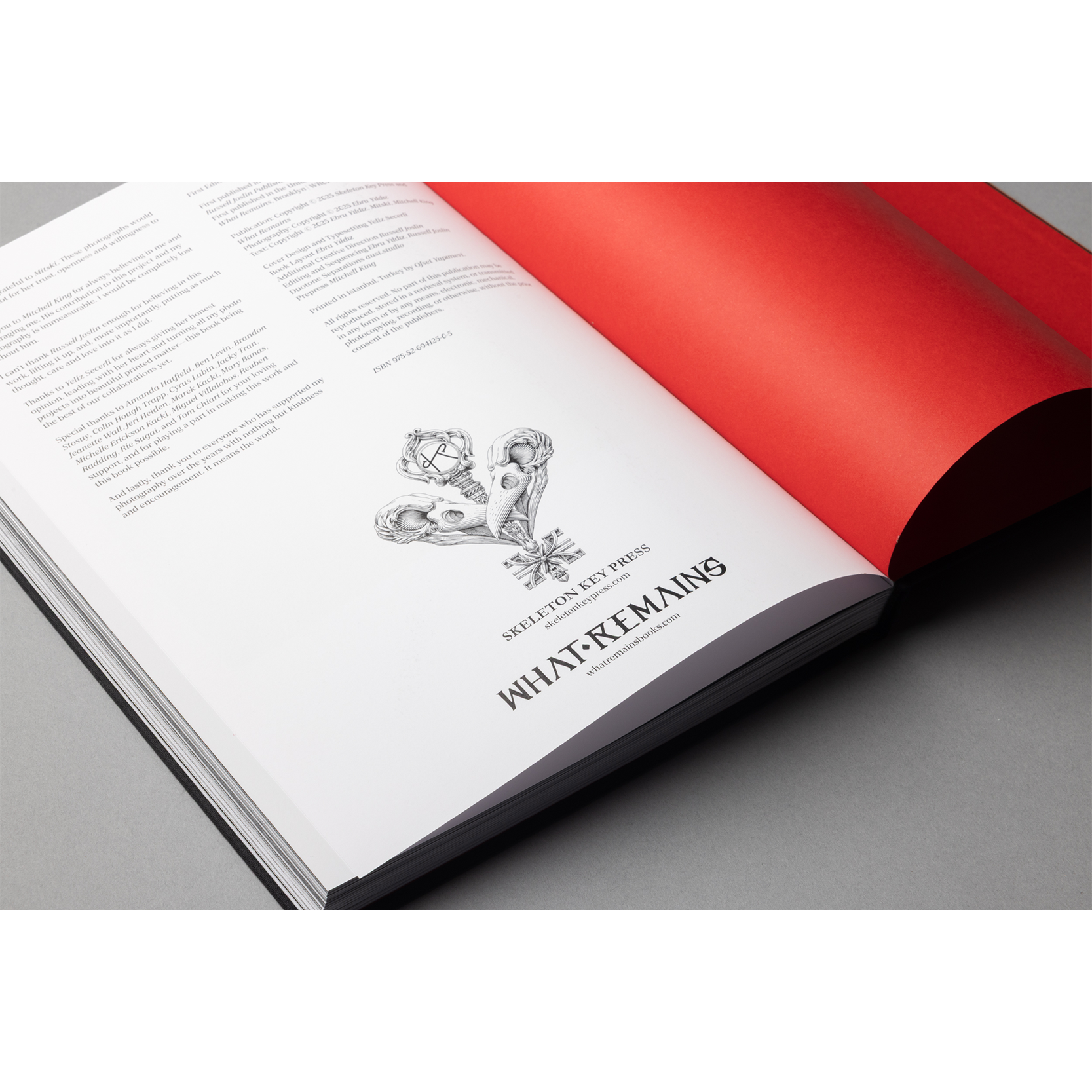 The King of All the Land Book