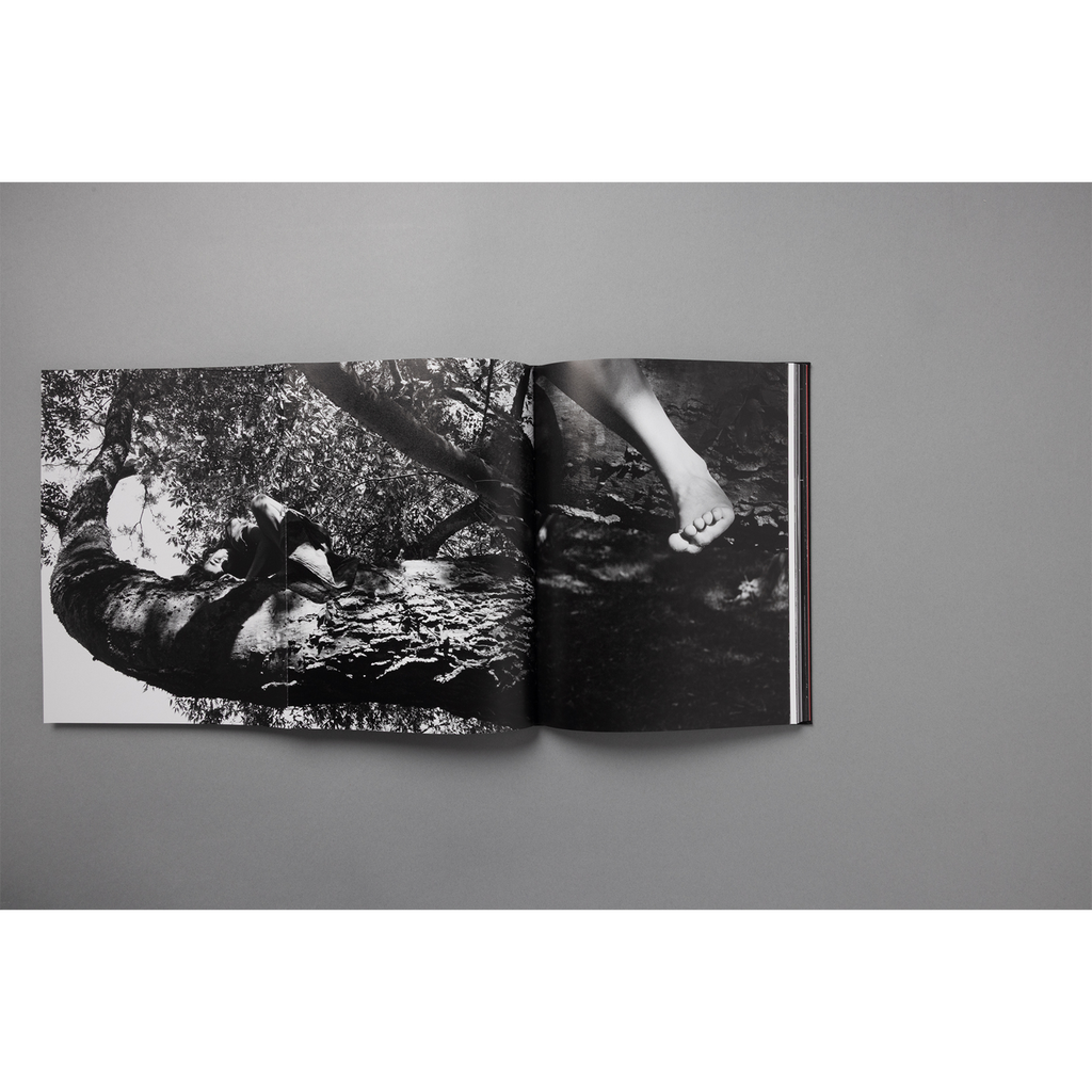 The King of All the Land Book