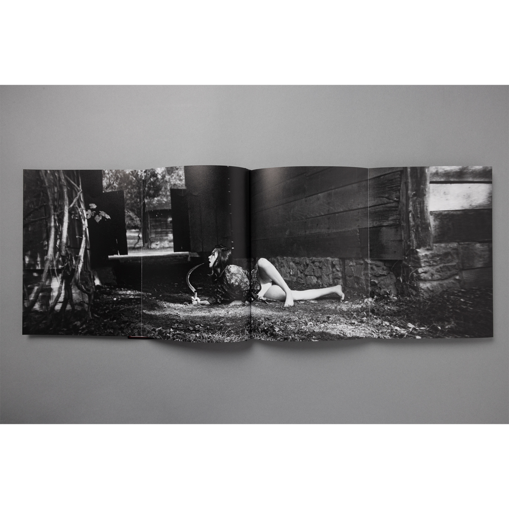 The King of All the Land Book