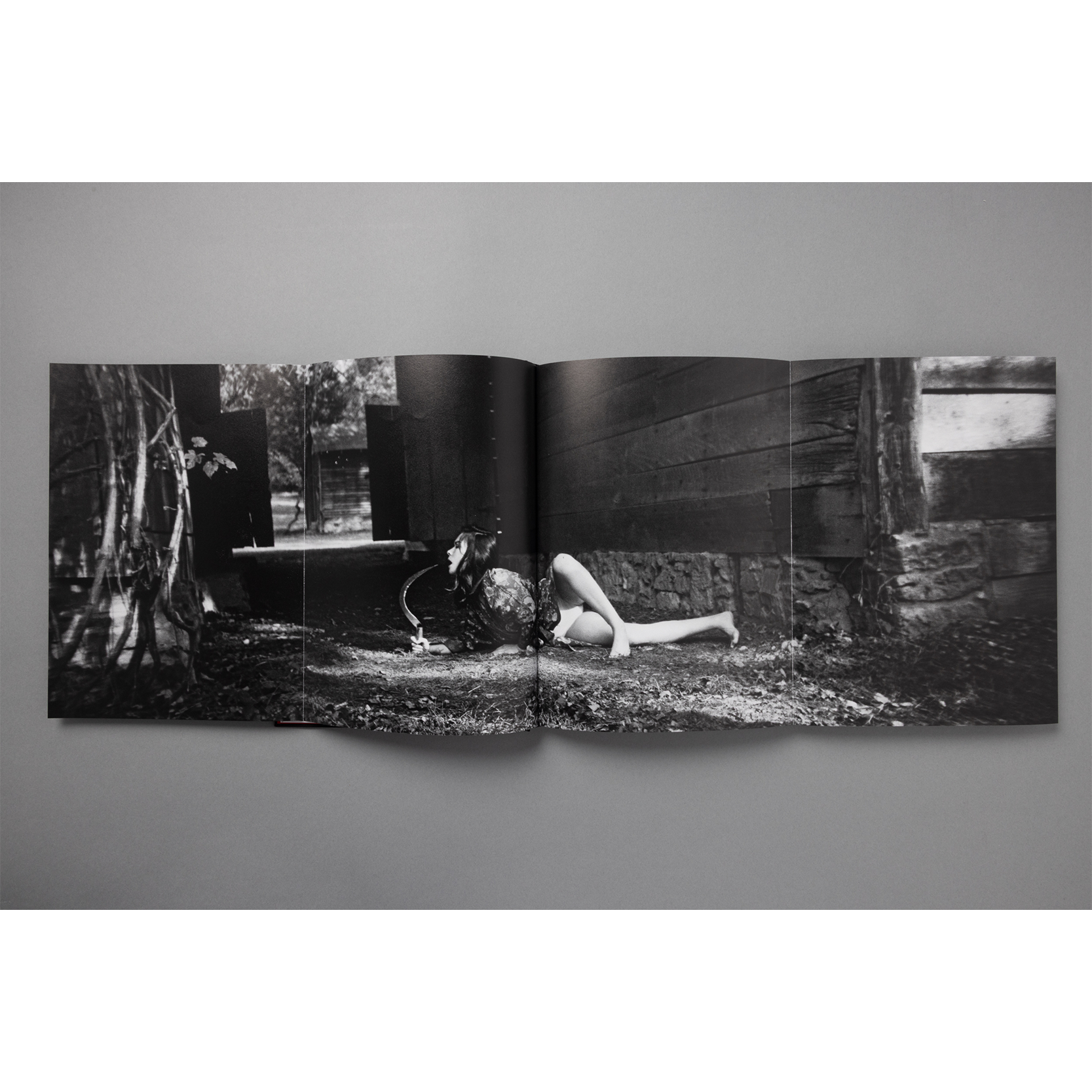 The King of All the Land Book