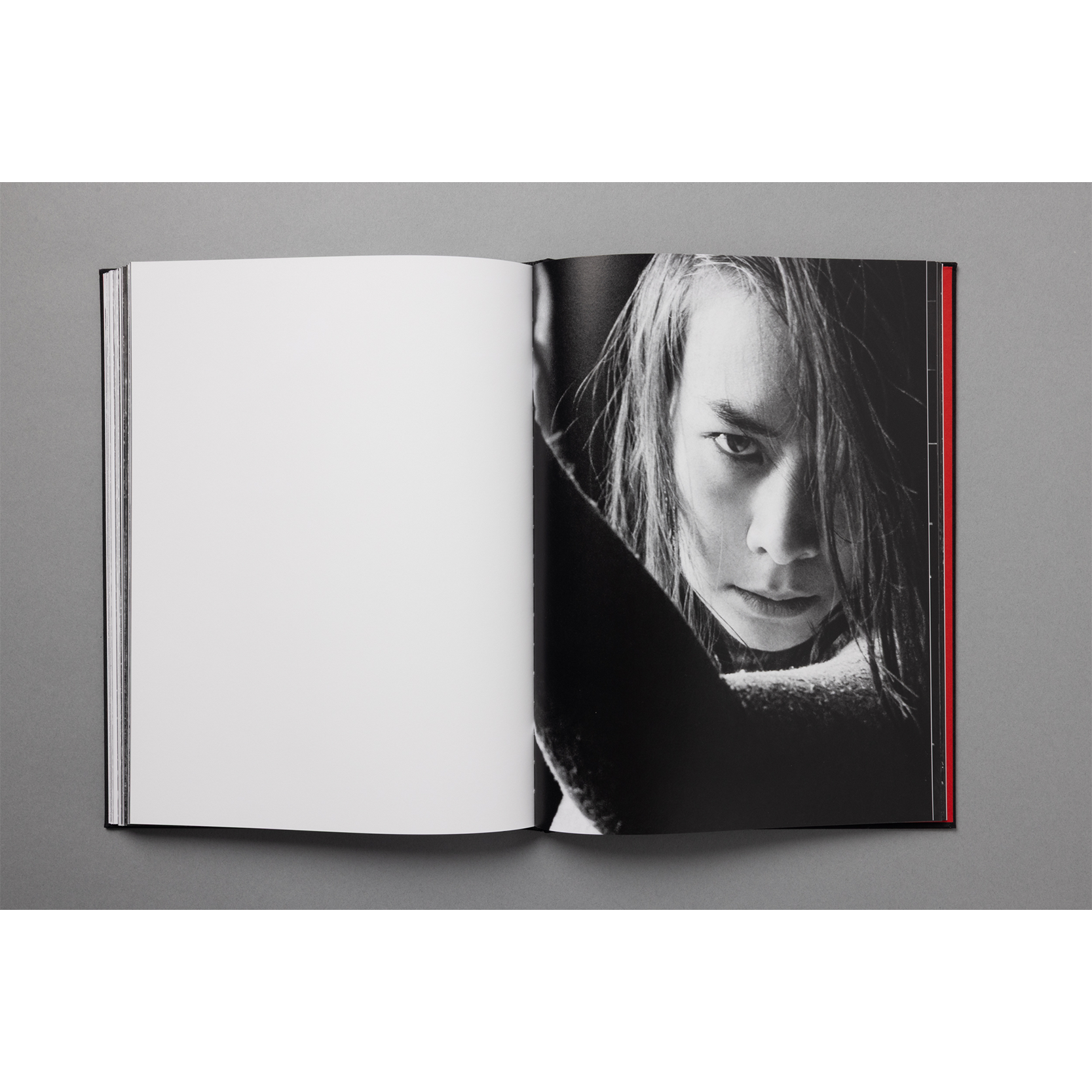 The King of All the Land Book