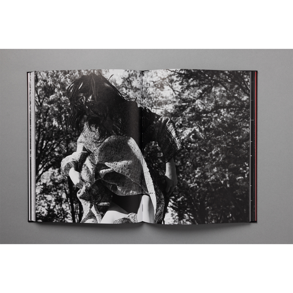 The King of All the Land Book