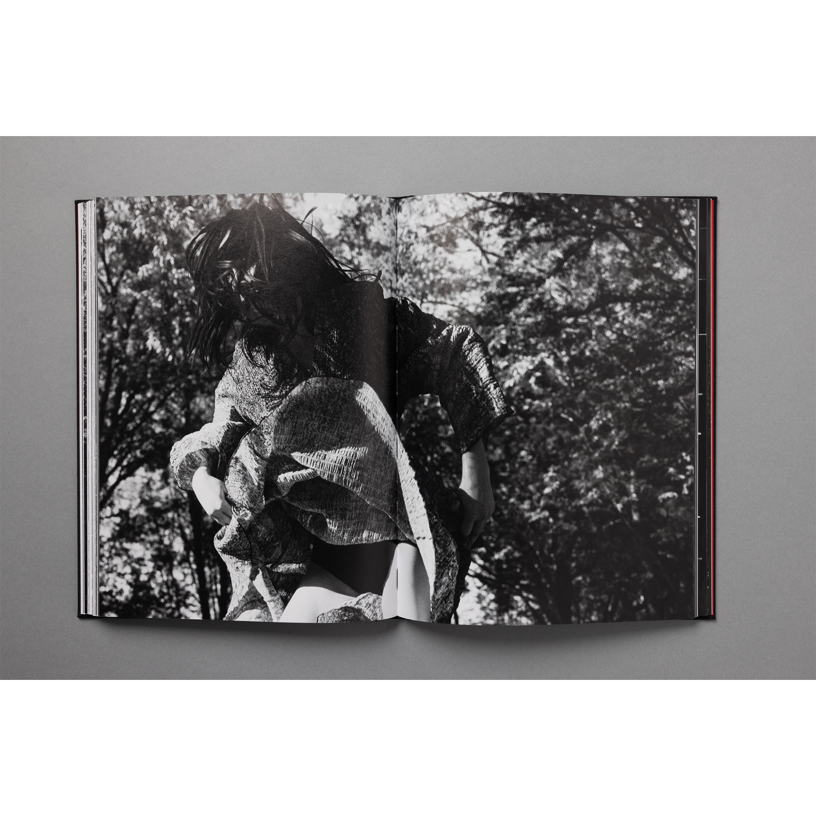 The King of All the Land Book