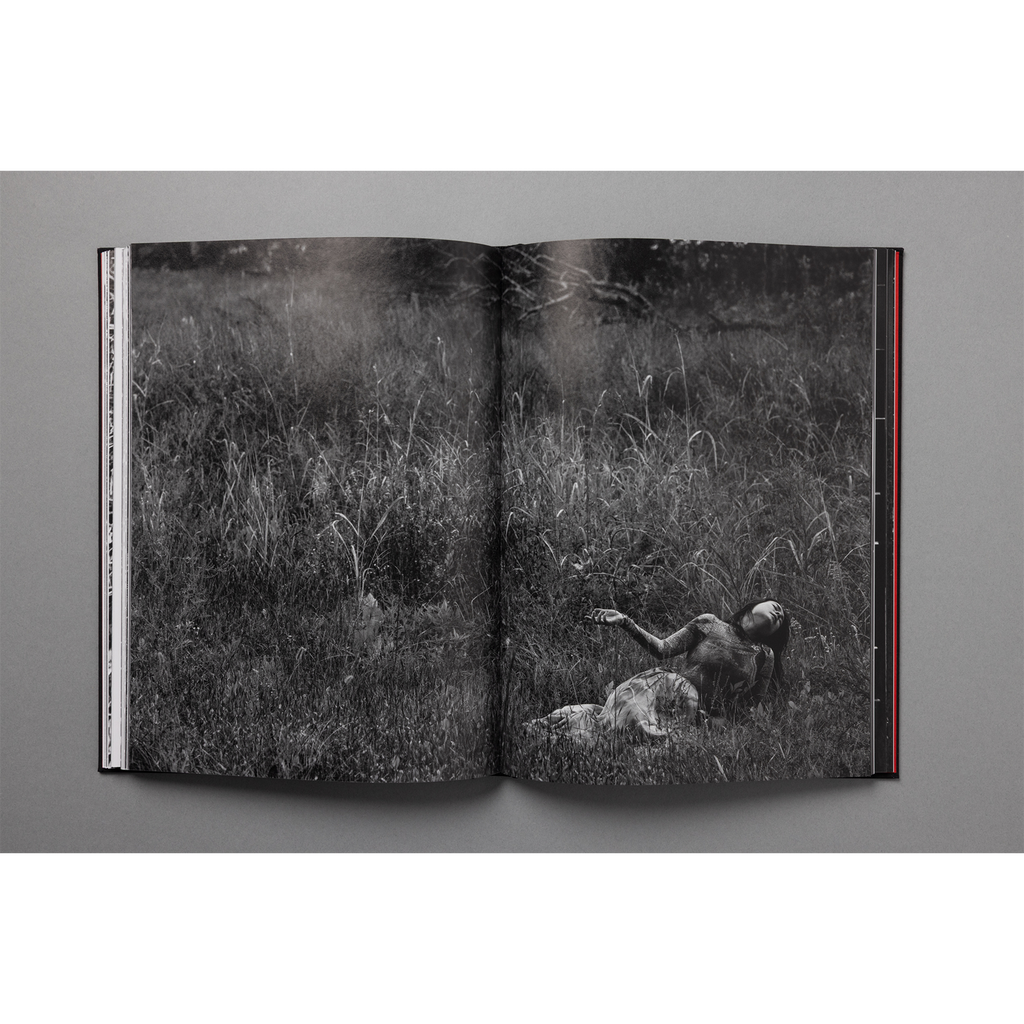 The King of All the Land Book