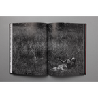 The King of All the Land Book