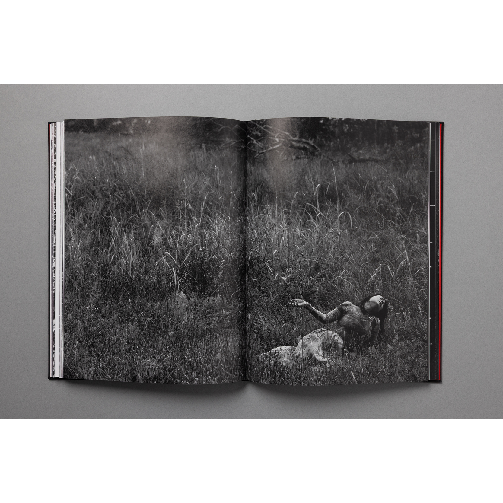 The King of All the Land Book