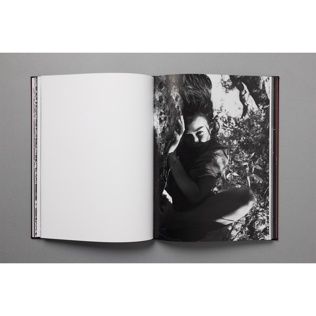 The King of All the Land Book