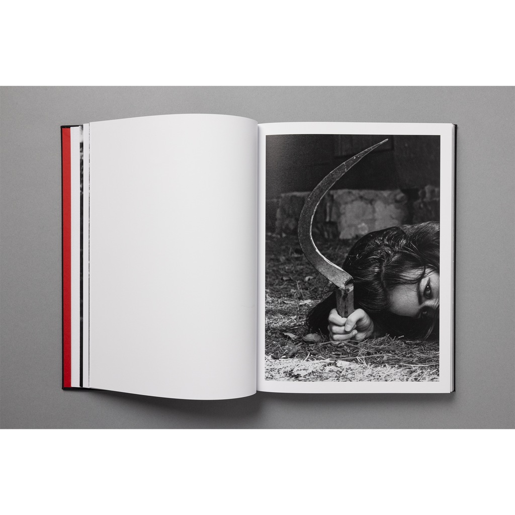 The King of All the Land Book