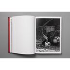 The King of All the Land Book