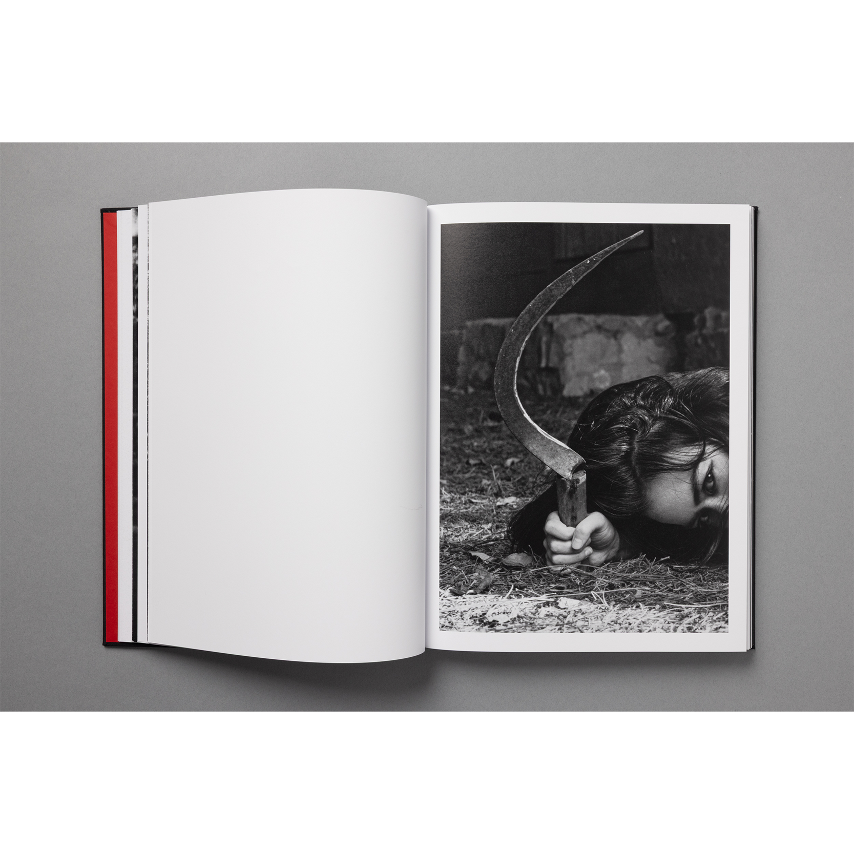 The King of All the Land Book