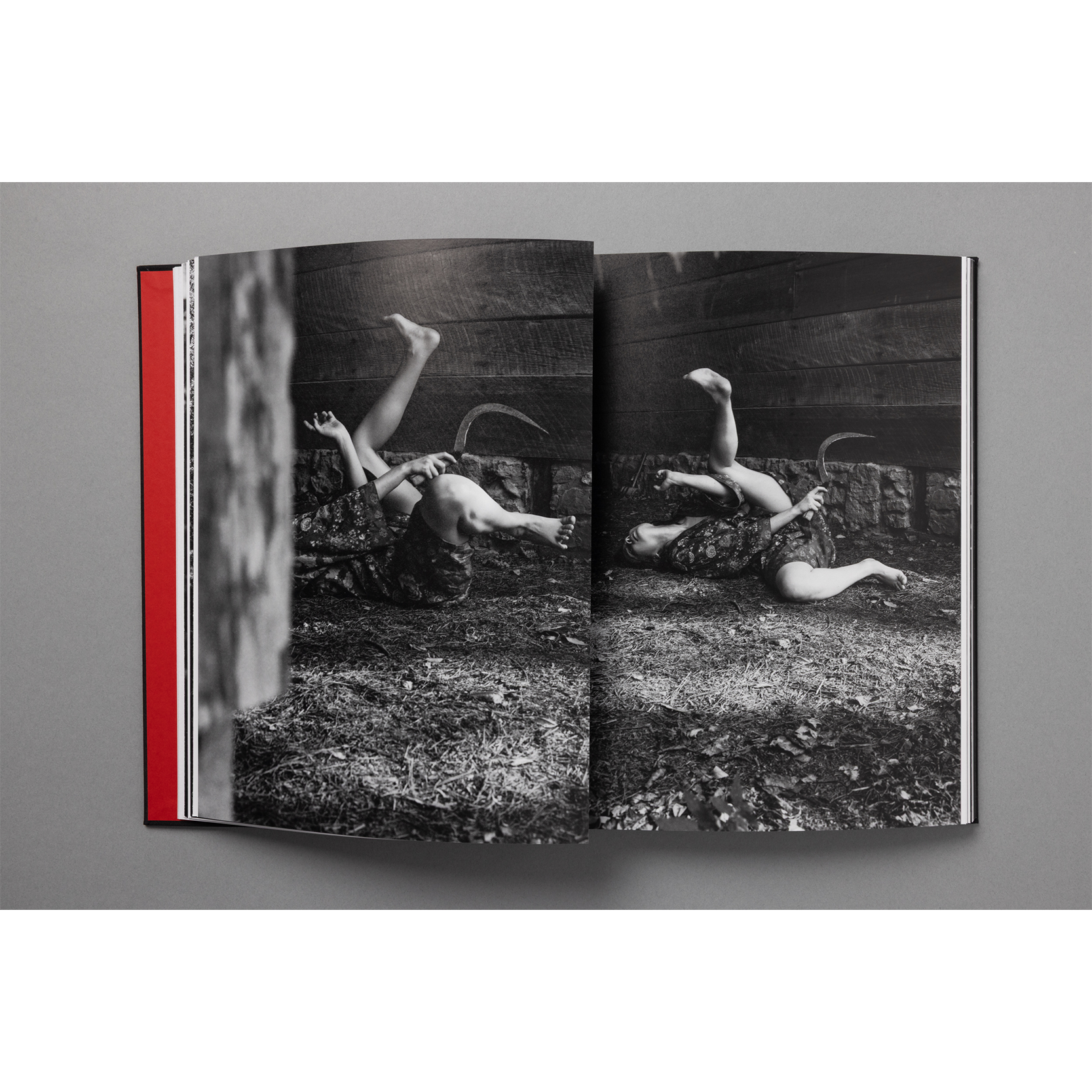 The King of All the Land Book