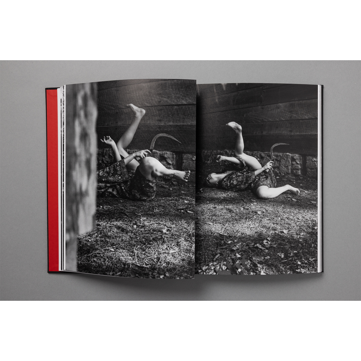 The King of All the Land Book