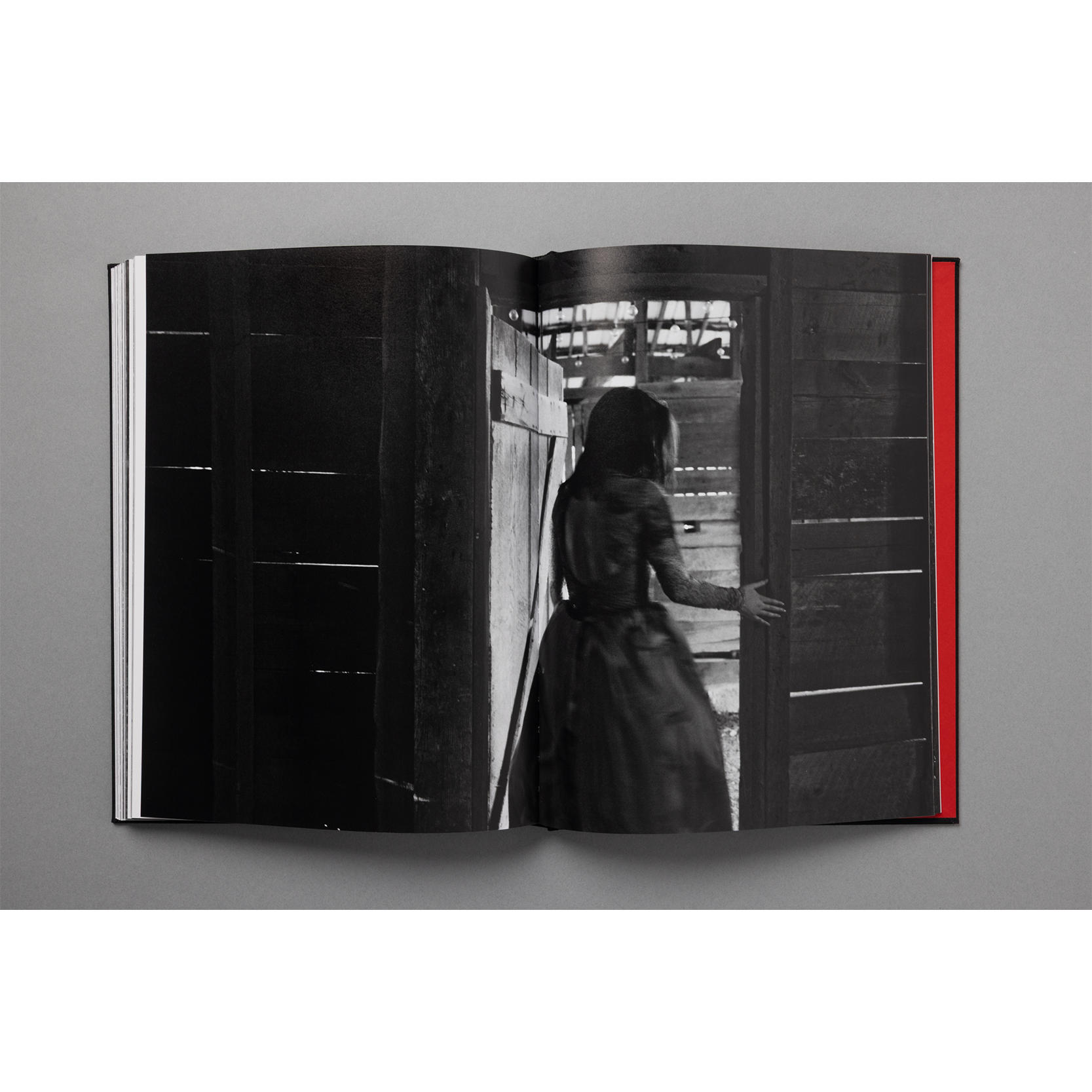 The King of All the Land Book