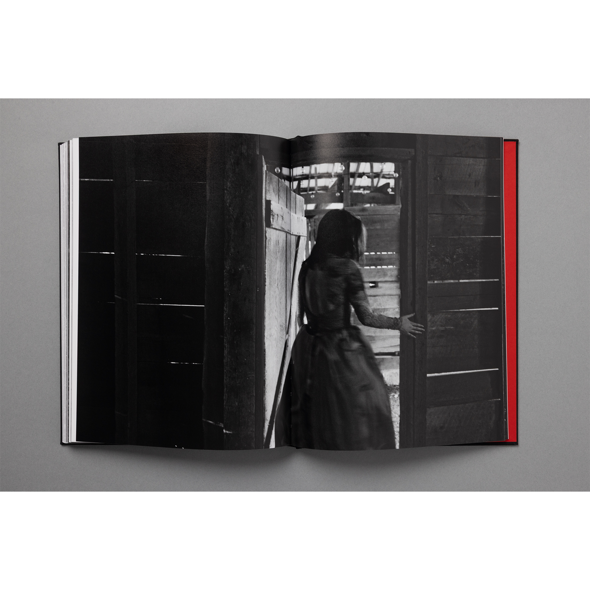 The King of All the Land Book