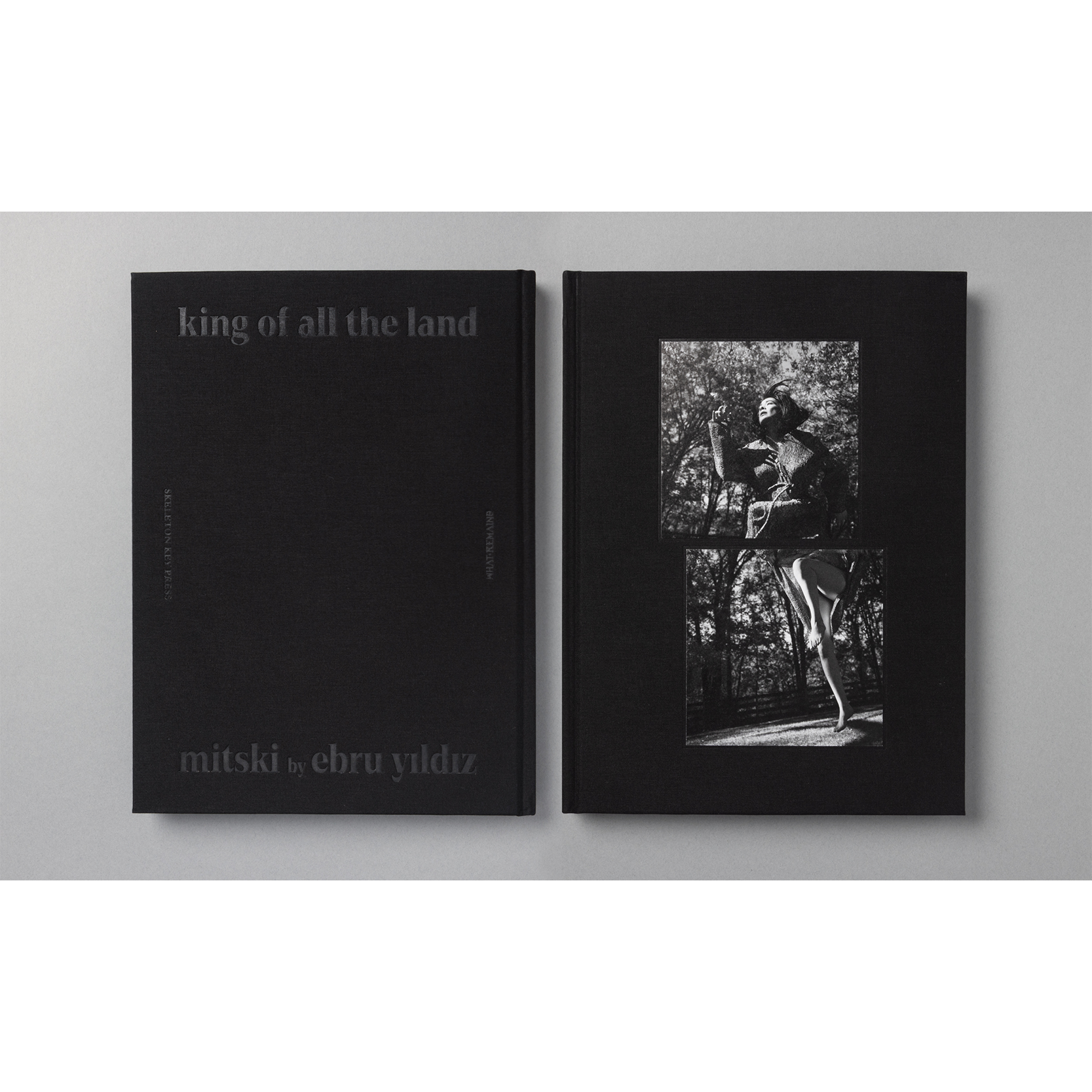 The King of All the Land Book