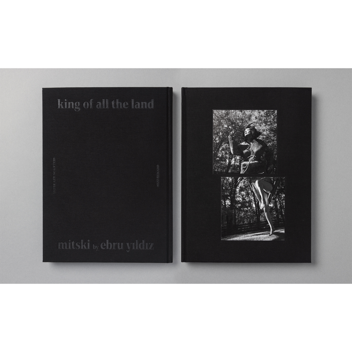 The King of All the Land Book