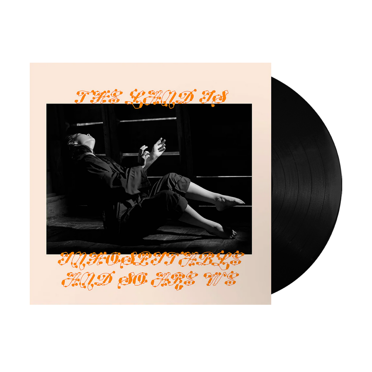 THE LAND IS INHOSPITABLE AND SO ARE WE VINYL